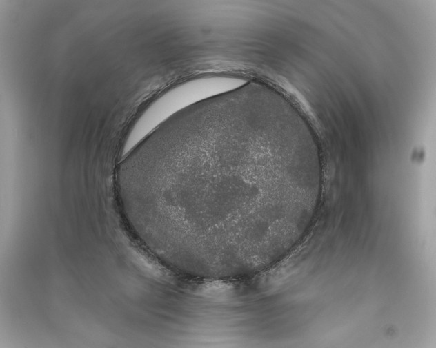 X0000090770257200708101816