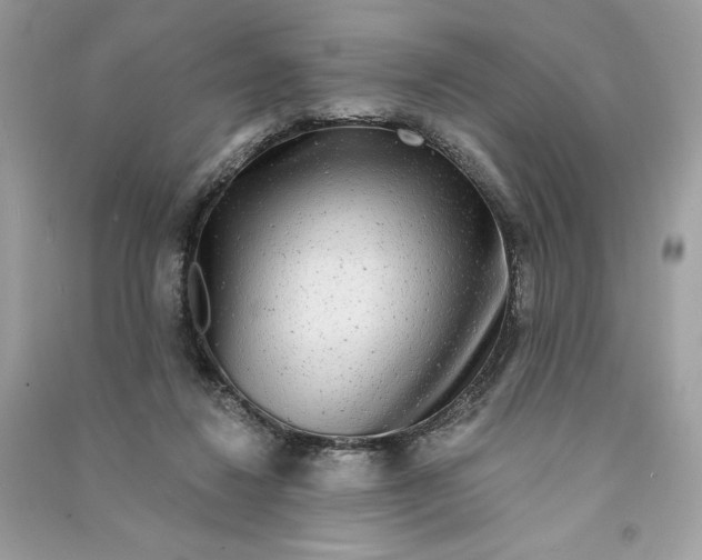 X0000090770260200708101816