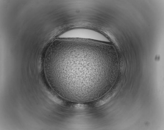 X0000090770261200708101816