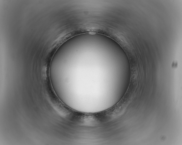 X0000090770262200708101816