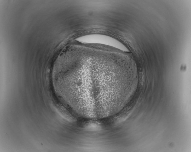 X0000090770263200708101816
