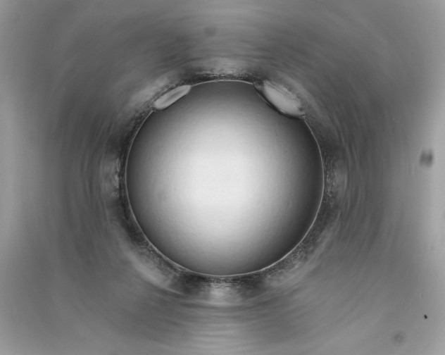 X0000090770264200708101816