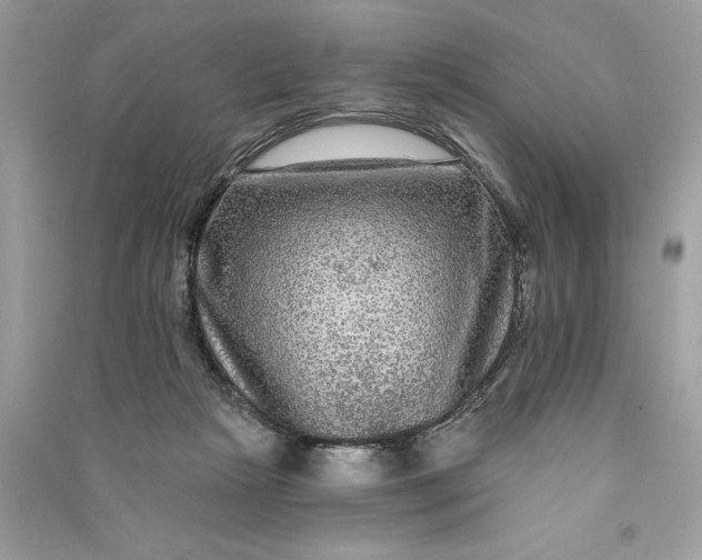 X0000090770265200708101816