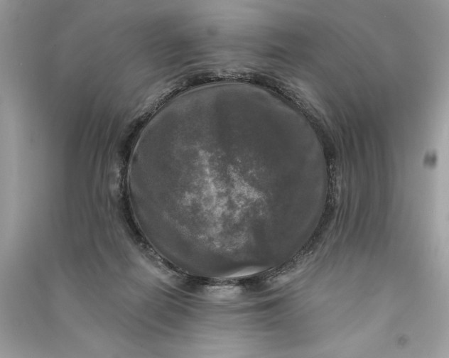 X0000090770266200708101816