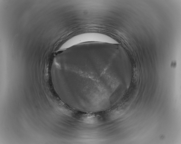 X0000090770267200708101816