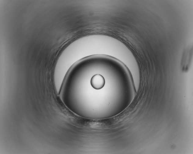 X0000090770268200708101816