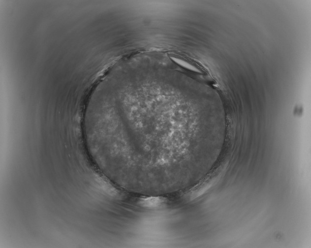 X0000090770269200708101816