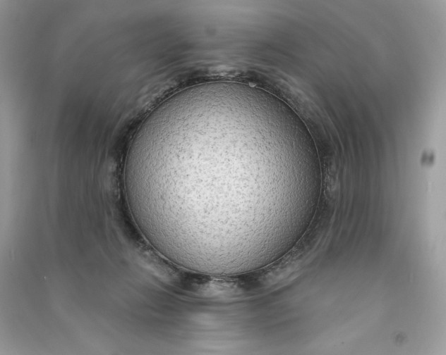 X0000090770270200708101816
