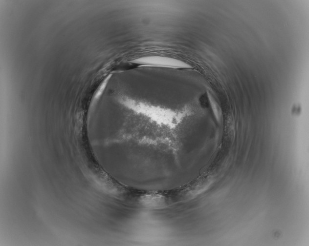 X0000090770271200708101816