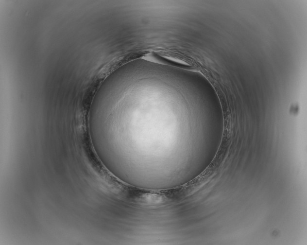 X0000090770272200708101816