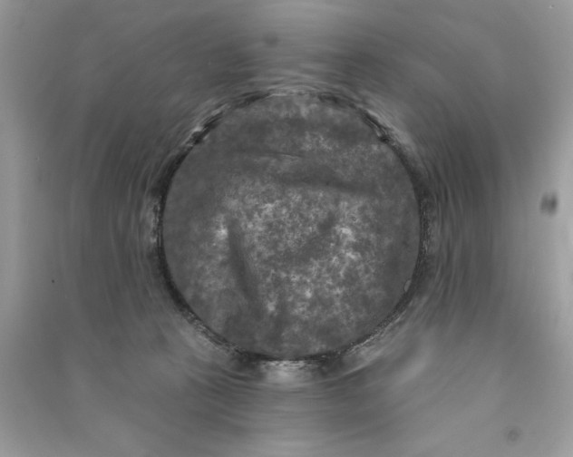 X0000090770273200708101816