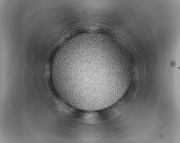 X0000090770274200708101816