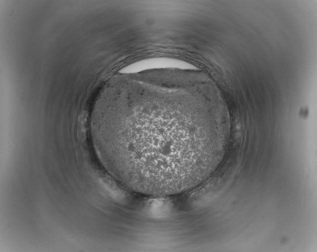 X0000090770275200708101816