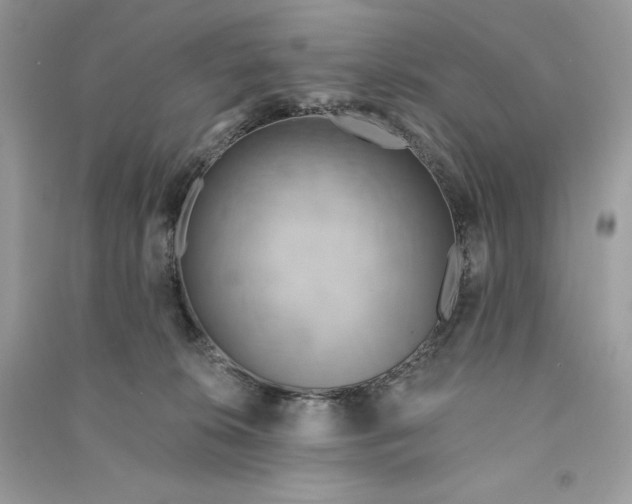 X0000090770276200708101816