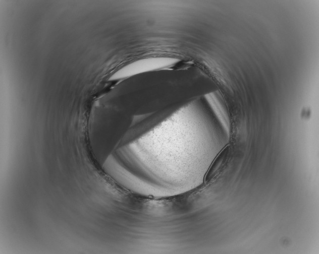 X0000090770277200708101816