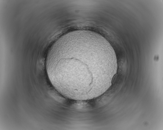 X0000090770278200708101816