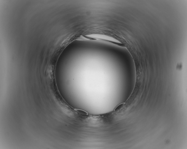X0000090770280200708101816