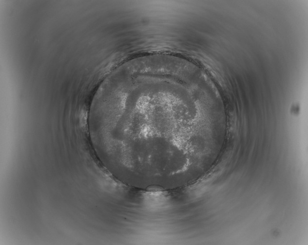 X0000090770281200708101816