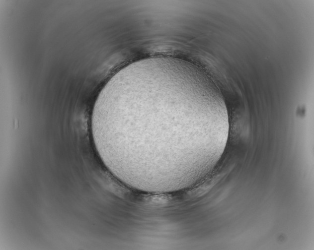 X0000090770282200708101816