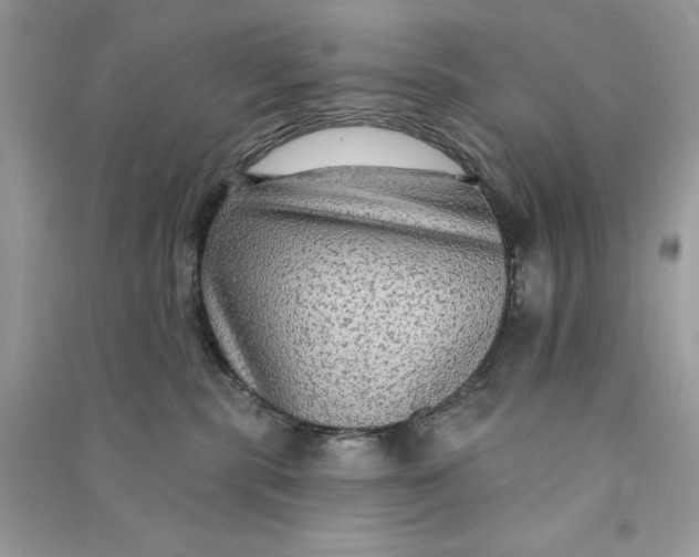 X0000090770283200708101816