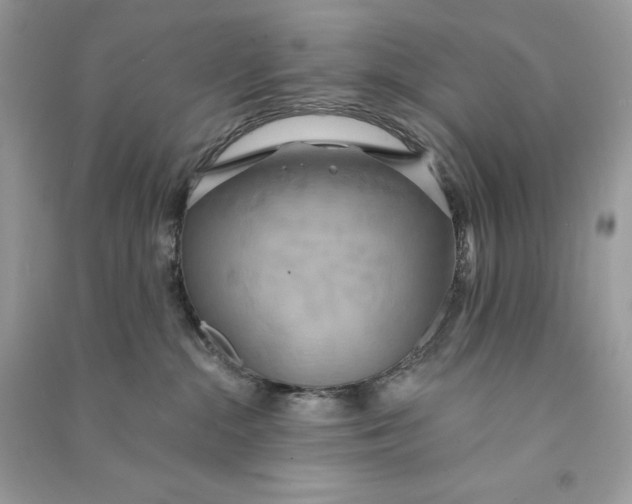 X0000090770284200708101817