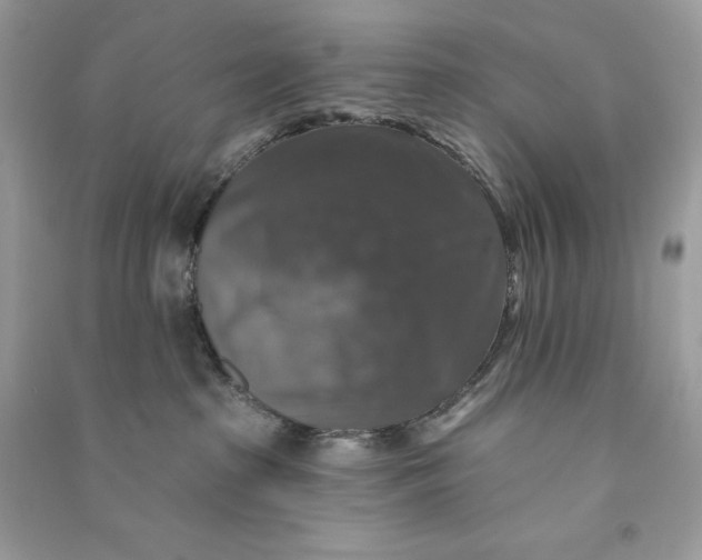 X0000090770285200708101817