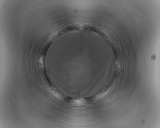 X0000090770286200708101817