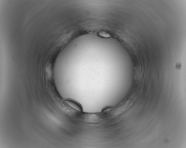X0000090770287200708101817