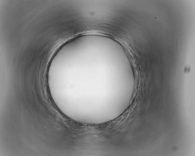 X0000090770289200708101816