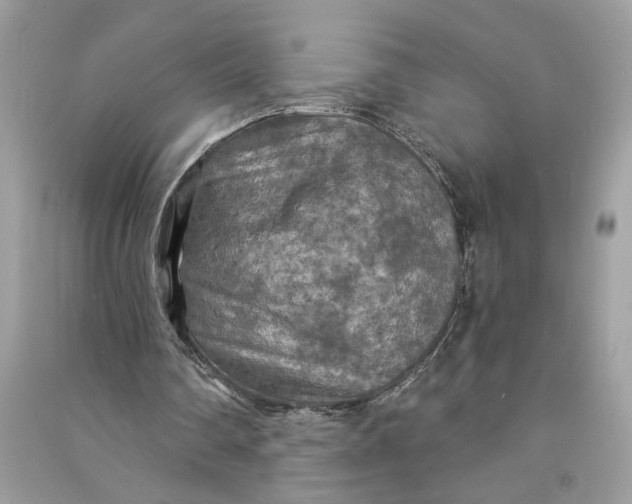 X0000090770290200708101816