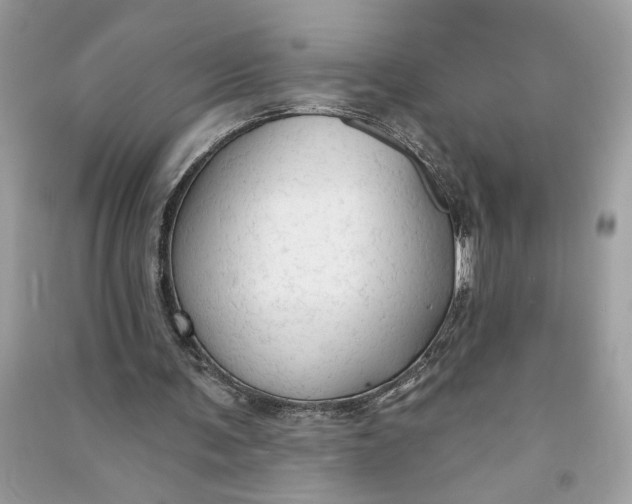 X0000090770291200708101816