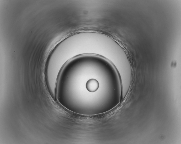 X0000090770293200708101816
