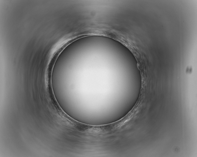 X0000090770294200708101816
