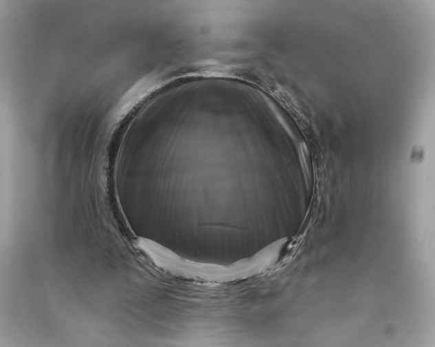 X0000090770295200708101816