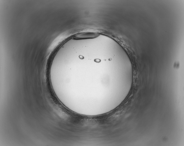 X0000090770296200708101816