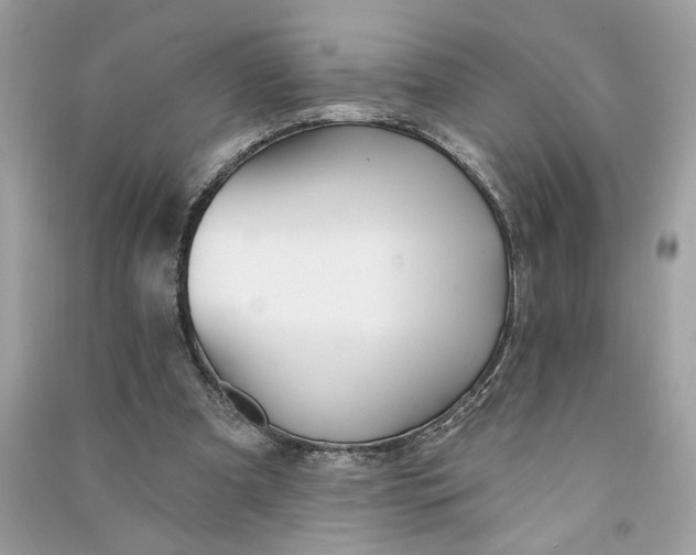 X0000090770297200708101816