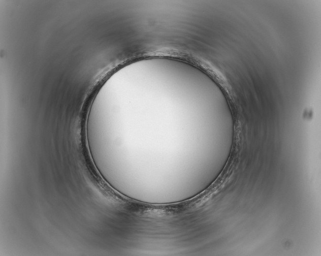 X0000090770298200708101816