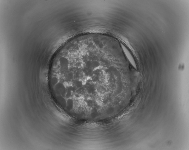 X0000090770299200708101816