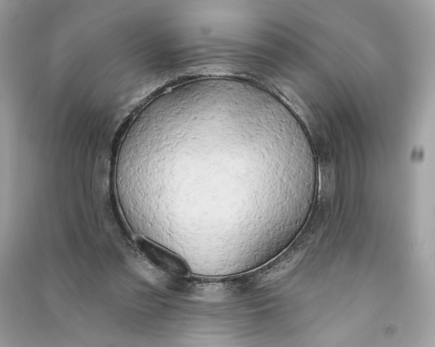 X0000090770301200708101816