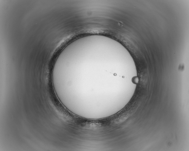 X0000090770304200708101816