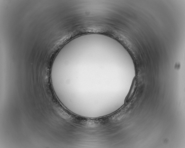 X0000090770305200708101816