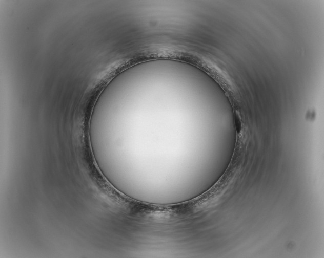 X0000090770306200708101816