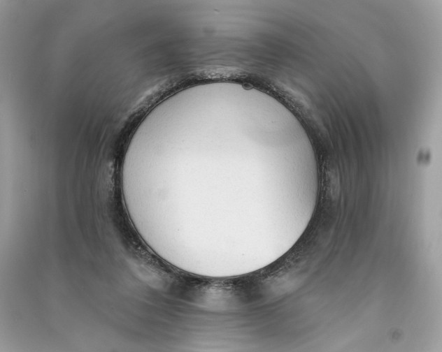 X0000090770308200708101816