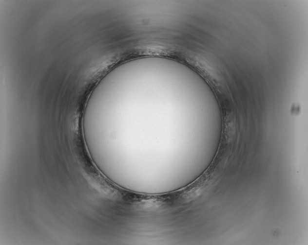 X0000090770310200708101816