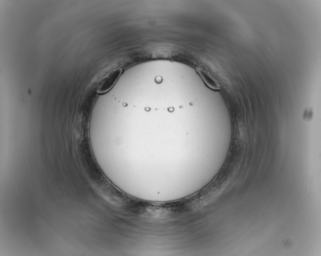 X0000090770311200708101816