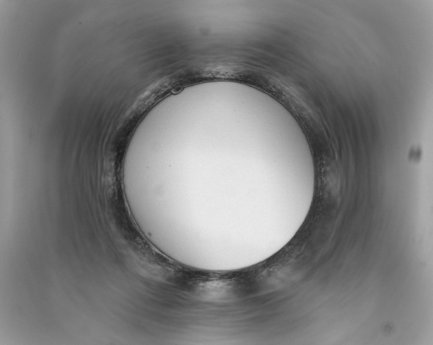 X0000090770312200708101816