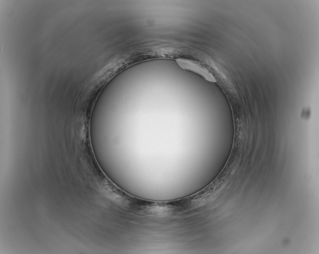 X0000090770313200708101816