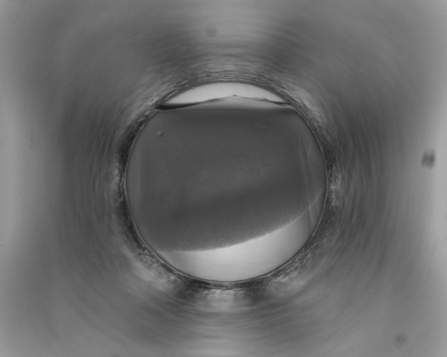 X0000090770314200708101816