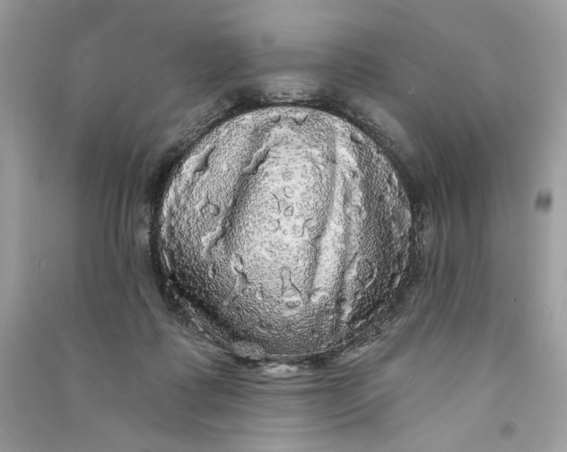 X0000090770315200708101816