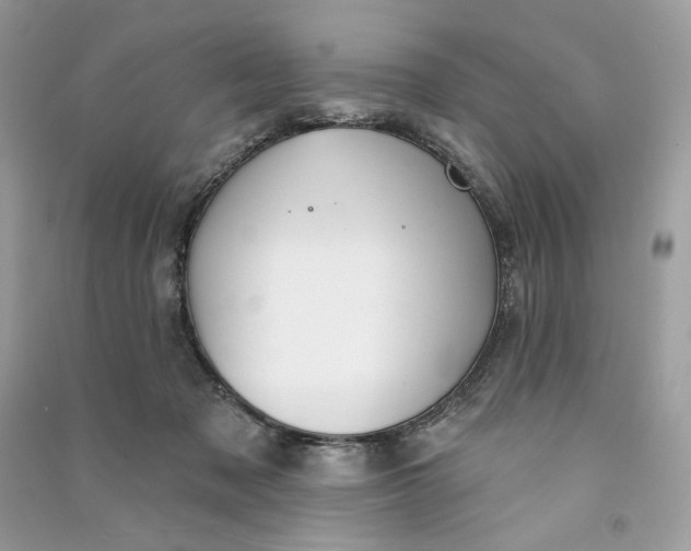 X0000090770317200708101816